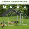 Large metal chicken coop, walk-in chicken coop, galvanized wire poultry chicken coop